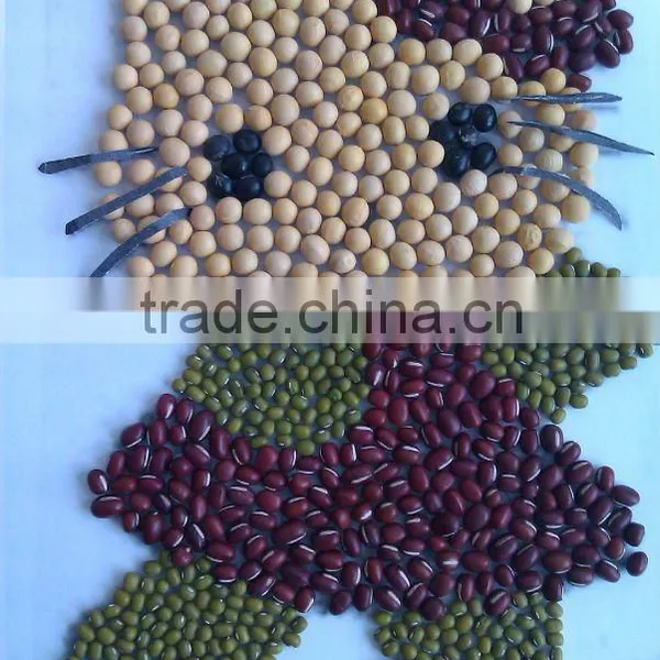 Soybean/soya Bean, Soybean Seeds, Soya Bean Seeds( 2013 Crop, Heilongjiang Origin)