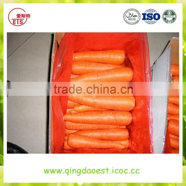 High Quality Fresh 2016 New Carrot photo-6