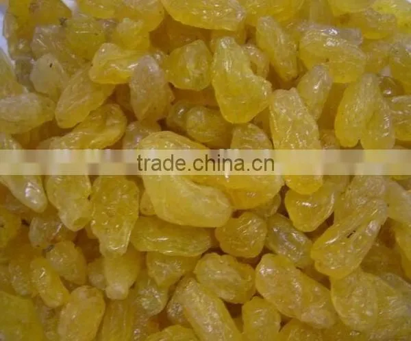 2015 Crop Golden Raisin With High Quality and Competitive Price. photo-3