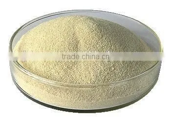 Food Grade Sodium Alginate photo-2