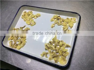 Brine Meter Light Yellow Mushroom Slices Brine Champignon Mushroom High Quality Champignon Mushrooms Brine Salted Boiled in Bag