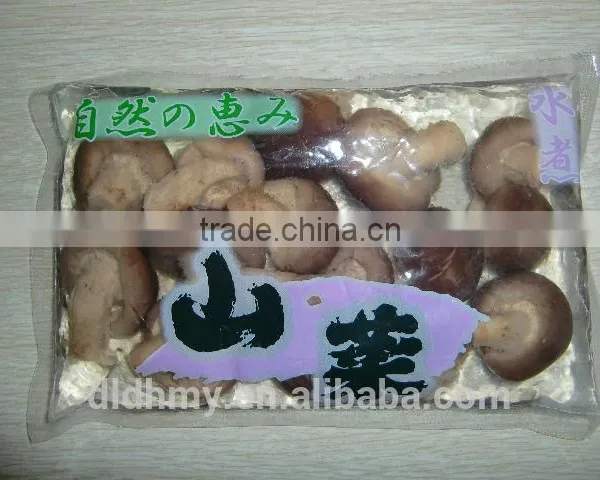 Market Prices for Shiitake Mushroom in Bag Boiled 1kg Plastic Bag