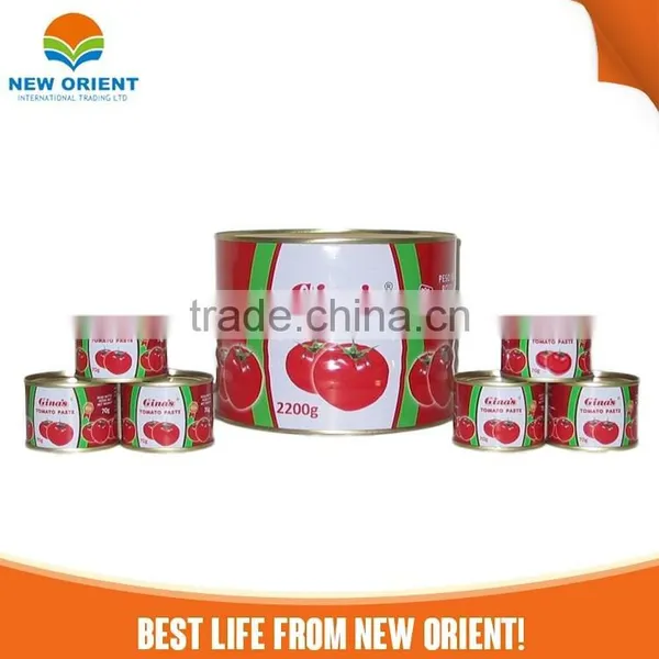 Canned Red Color Tomato Paste photo-2