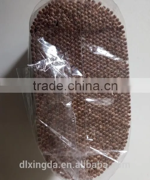 Disposable Double-point Toothpicks in Transparent Soft Tube photo-3