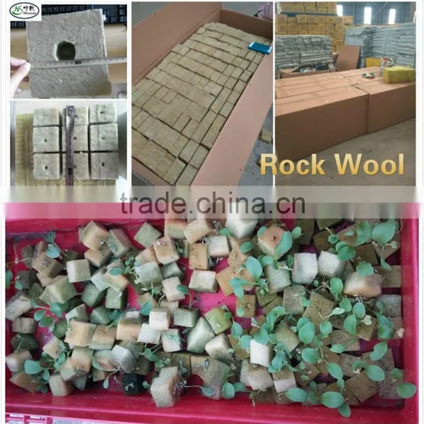 Seed Planter Hydroponic Rockwool photo-2