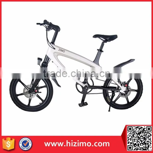2017 New 36V Pedal Assist Electric Fat Bike photo-5