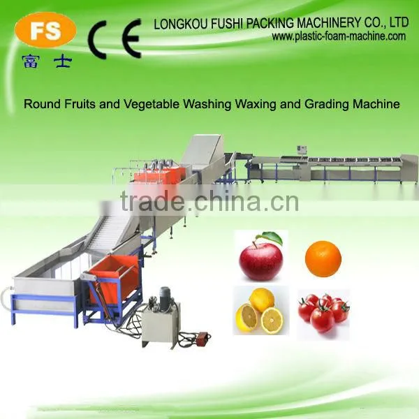 Vegetable and Fruit Processing Machinery