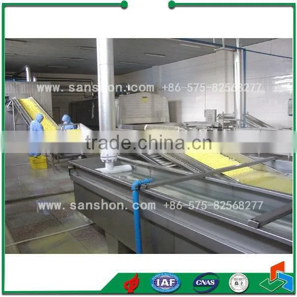 China Cabbage Dehydration Production Line,Cabbage Drying Whole Set Line Equipment photo-6