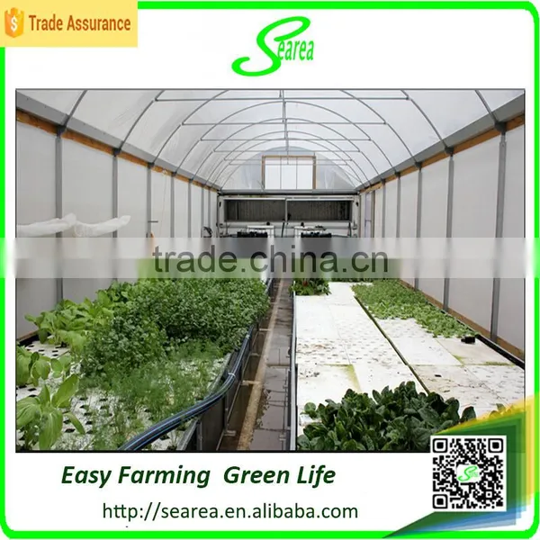 Single Span Greenhouse for Vegetable Fruits Agricultural Greenhouses photo-4
