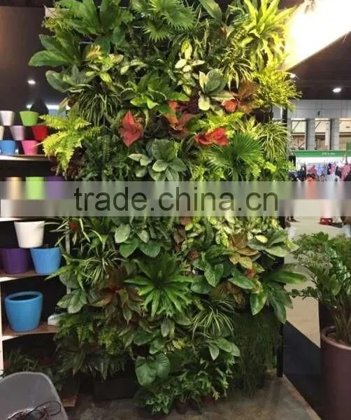 Green Wall Flower Pot photo-4