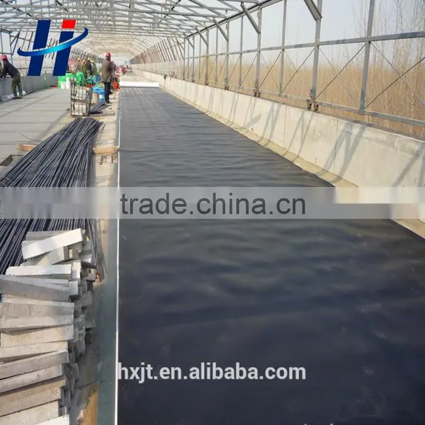 Geosynthetic Product Breeding Fish Farming Pool Lotus Pond HDPE Geomembrane/ Black Plastic Sheeting photo-5