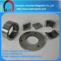 Cast Alnico Magnet