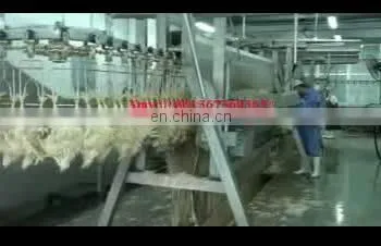 Chicken Plucker Machine/chicken Poultry Depilator/chicken Unhair Hair Removing Machine