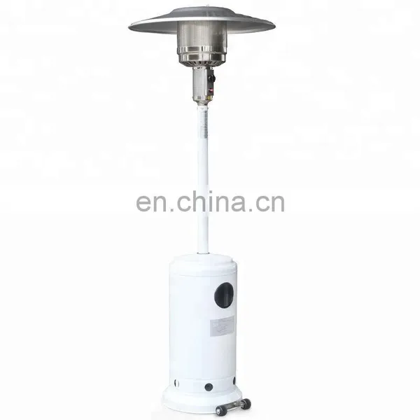 Stainless Steel Waterproof Decorative Gas Heaters photo-5