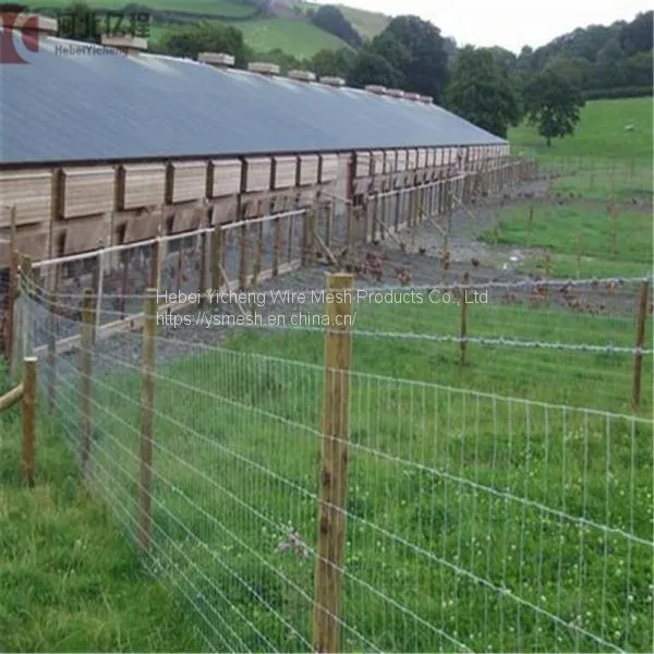 Hot-dipped Galvanized Field Fence, Cattle Field Fence Post, Galvanized Cattle Fence photo-4