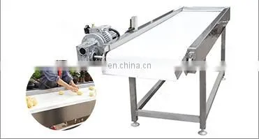 Small Scale Quick-Frozen French Fries Crisp Cassava Chips Making Machine Processing Production Line in Turkey photo-5