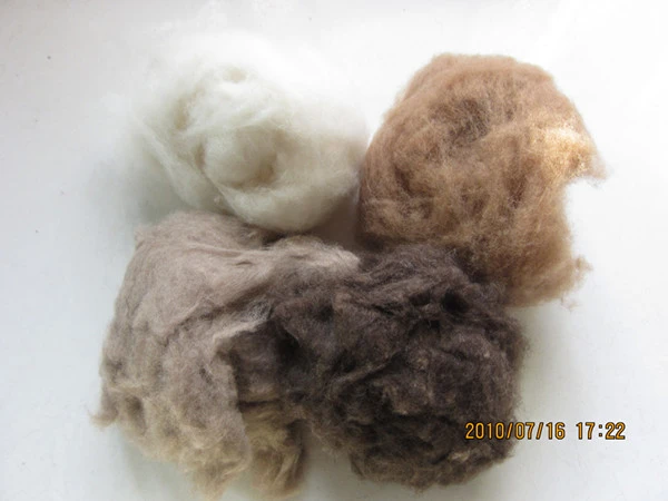 100% Natural Sheep Wool Best Sheep For Wool Washed Sheep Fleece For Sale