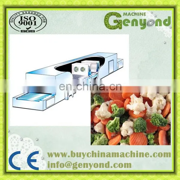 Small Capacity Vegetable Bean Quick Freezing Machine photo-5