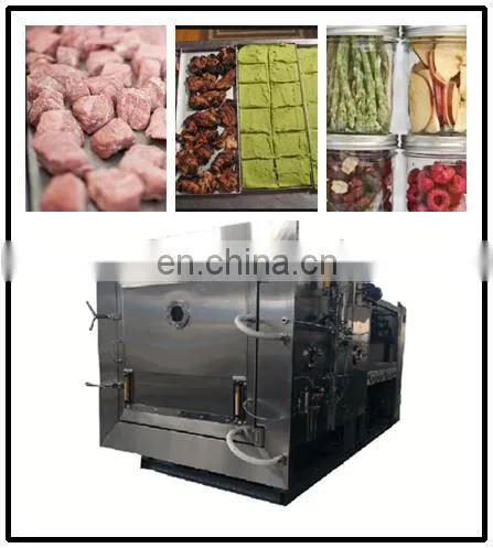 Commercial Fruit Dehydrator/food Vacuum Dehydrator/food Freeze Dryer photo-2