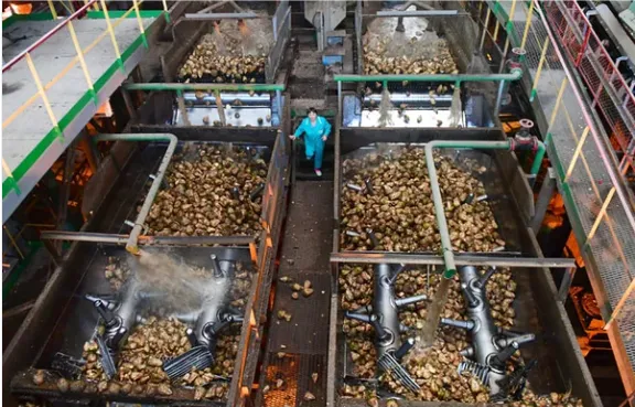 Genyond Sugar Beet Processing Line photo-6