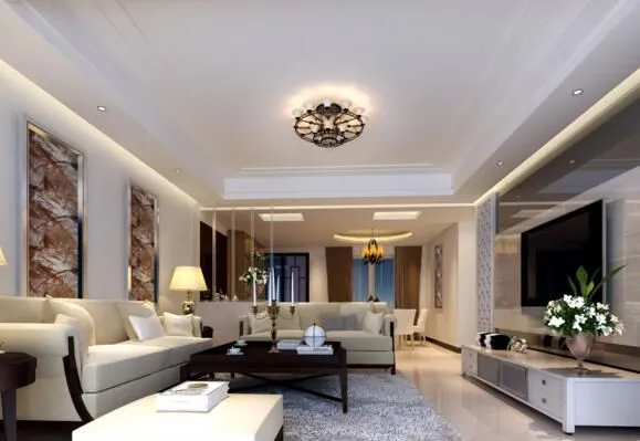 Other Ceilings photo-3