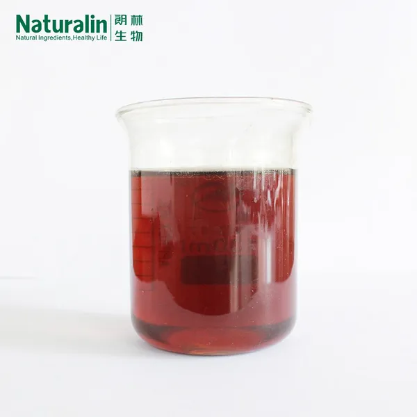 Chaga Mushroom Extract photo-5
