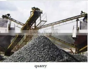 Conveyor Belt Comb Roller for Conveyor System With Factory Price photo-5