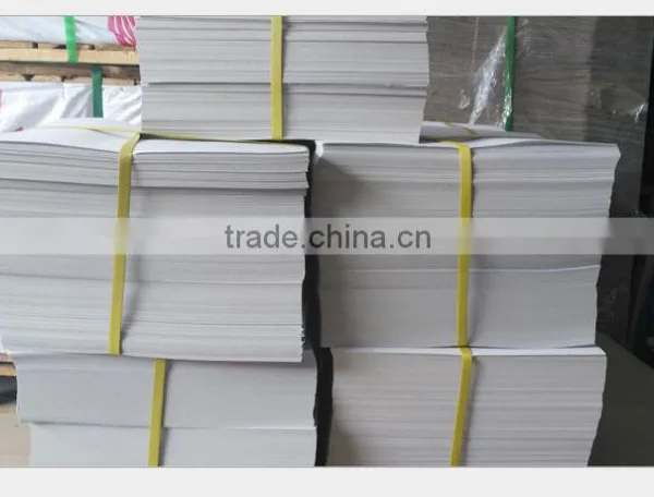 Best Quality Poplar Brand With Competive Price Ivory Board/FBB/C1S White Card Board photo-5