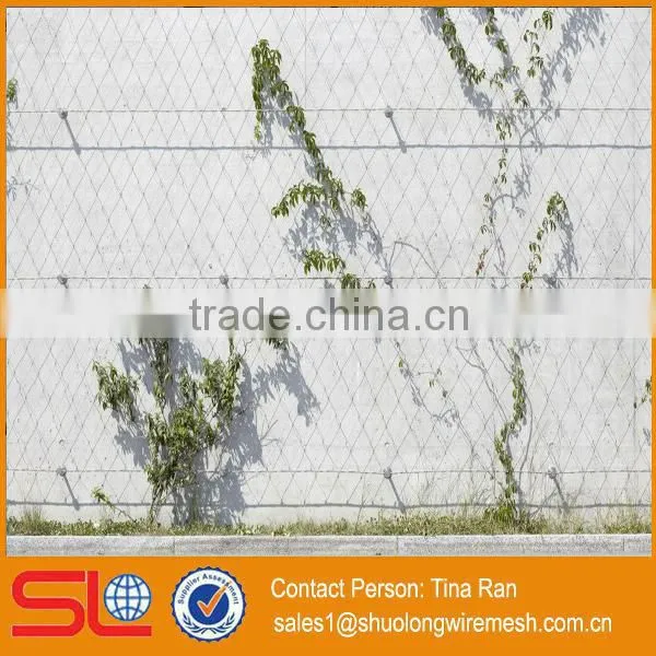 2mmx50mm Stainless Steel Rope Mesh Green Wall photo-4