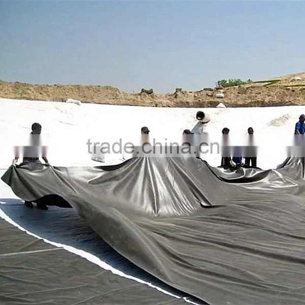 HDPE Geomembrane 0.25mm for Landfill Projects photo-6