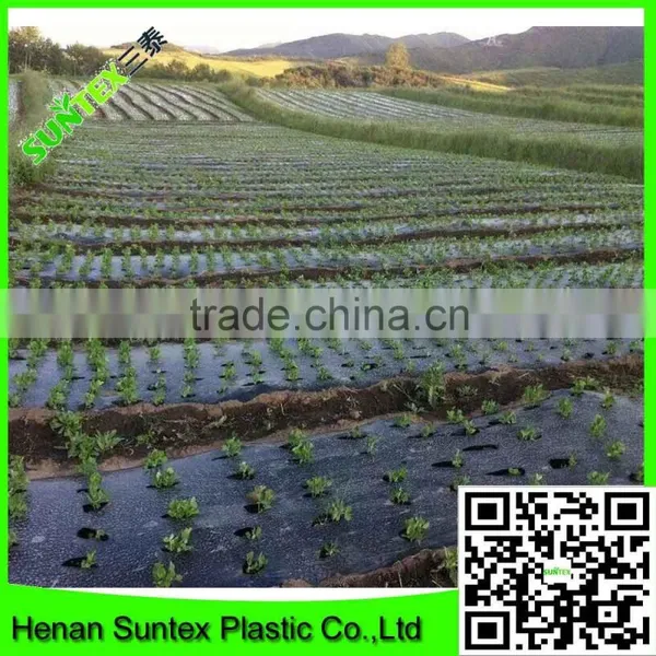 High Quality Vegetable Cover Used Perforated Mulch Film/plastic Lldpe Mulch Film photo-2