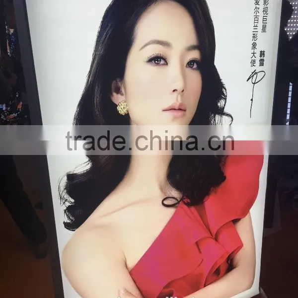 Outdoor Indoor Banner Eco-sovlent Ink UV Ink Printing Flex Advertisement Banner photo-2