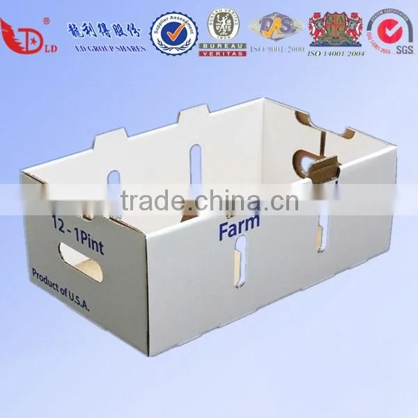Anhui Factory High Quality Custom Fruit and Vegetable Packaging Box photo-2