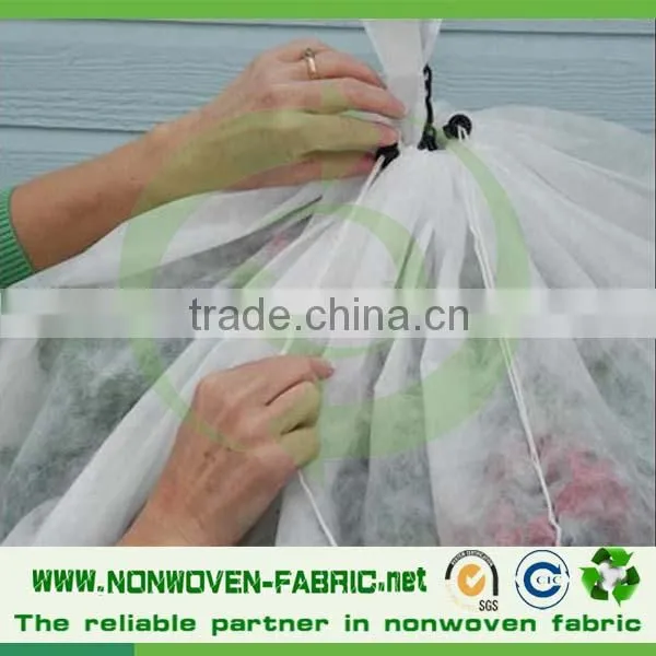 Polypropylene 100% Spunbond Non Woven Fabric for Frost Protection Garden Plant Cover photo-4