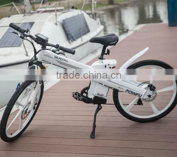Hot Sale EN 15194 Electric Bicycle With Motor Front Mag Wheel photo-2