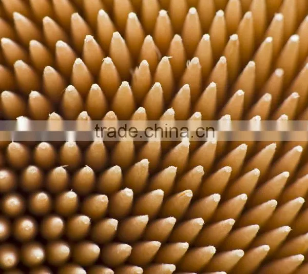 High Quality Natural Bamboo Tooth Picks From India