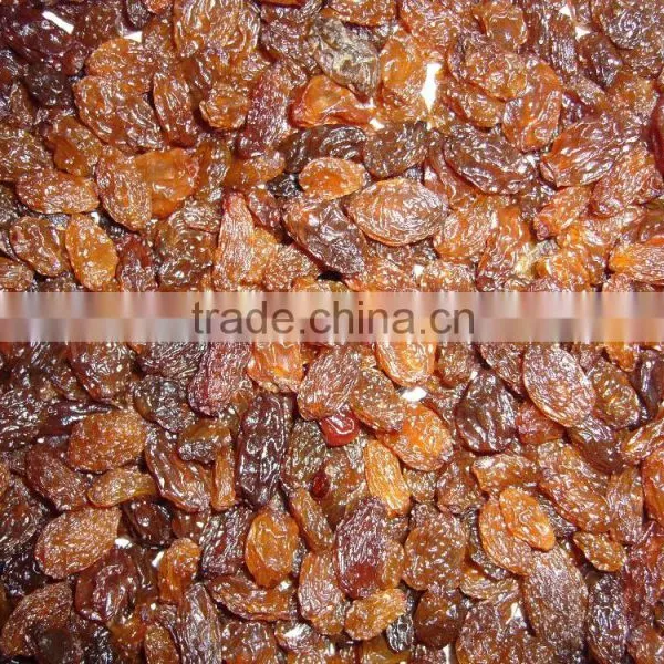 High Quality Dried Brown Sultana Raisin on Sale photo-4