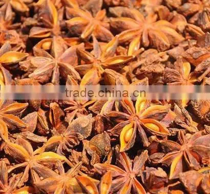 Vietnamese Star Anise Power photo-6