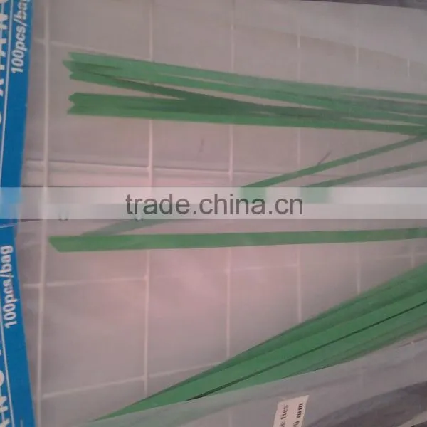Suply Stainless Steel Tie With Paper Card 4.6*300(ISO9001 ROHS)