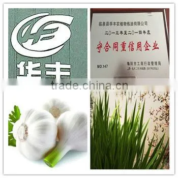 Premium Garlic Oil Chinese Professional Factory Competitive Price photo-4