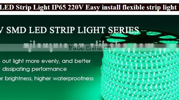 5050 LED Strip Light IP65 220V Easy Install Flexible Strip Light photo-3