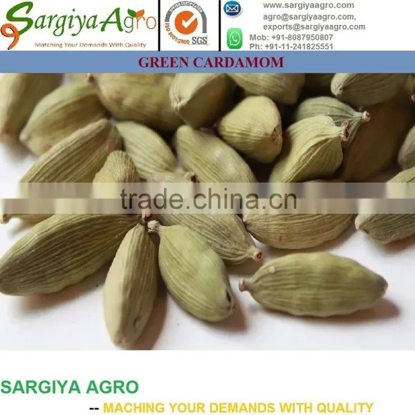 Green Cardamom l Fresh l Export Quality photo-2