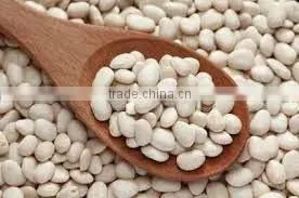 White Kidney Beans photo-2