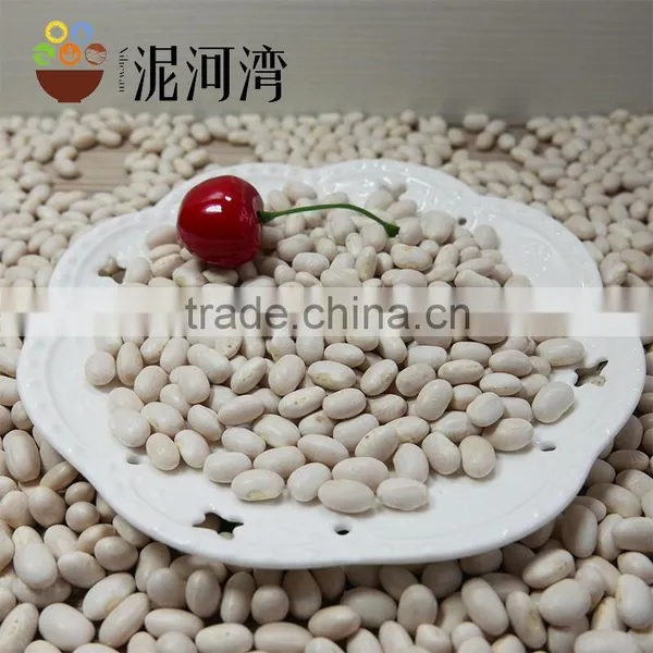 White Kidney Bean Size 200-220pcs White Bean 2016 Crop With Market Price photo-3