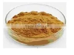 Polysacchrides 20%-90% Wolfberry Extrat/Goji Berry Extract/ Goji Berry Powder Extract photo-4