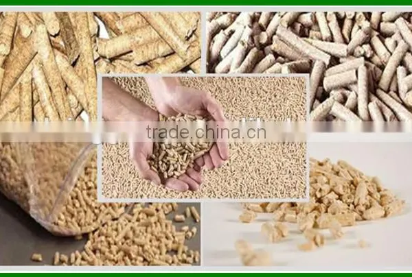 High Quality Wooden Pellet Machine for Sale photo-4