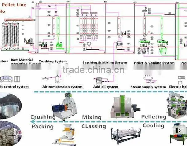 Factory Supply CE High Quality Cow Food Pellet Machine, Pellet Machine photo-4