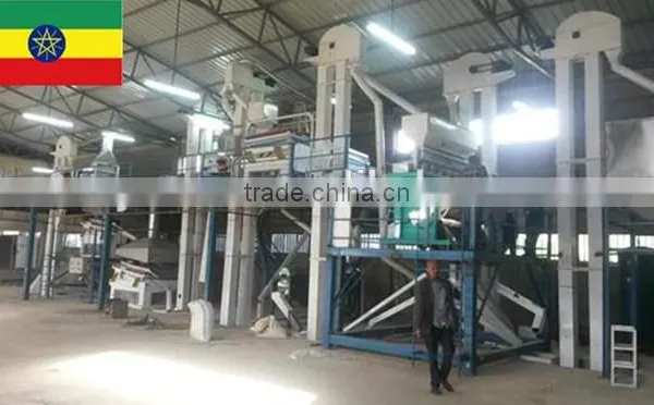 Wheat Maize Corn Processing Line (European Standard) photo-6