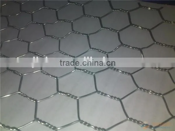 Express Gabion Mesh Made of Gabion Mesh Machine photo-6