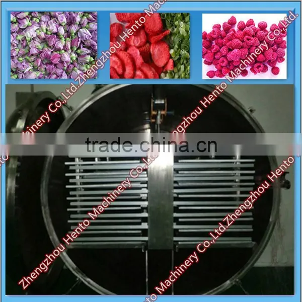 Commerical Vacuum Freeze Dryer Price